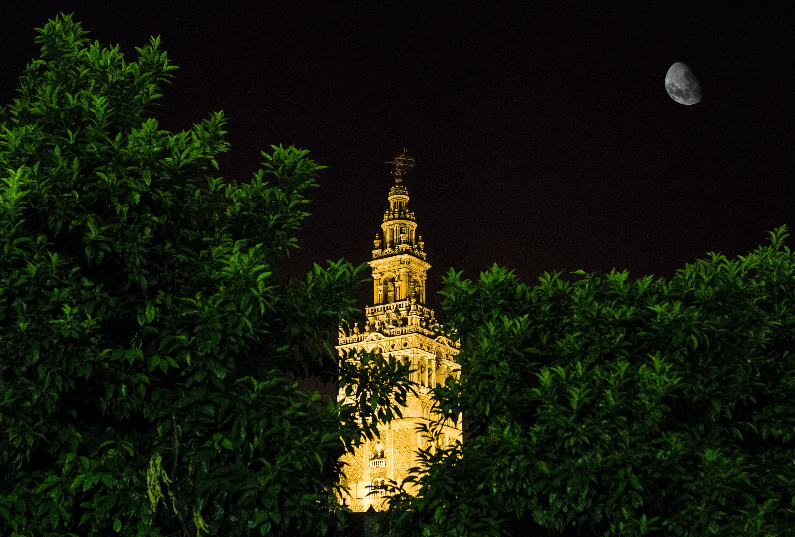 sevilla de bochfdfdfdfd